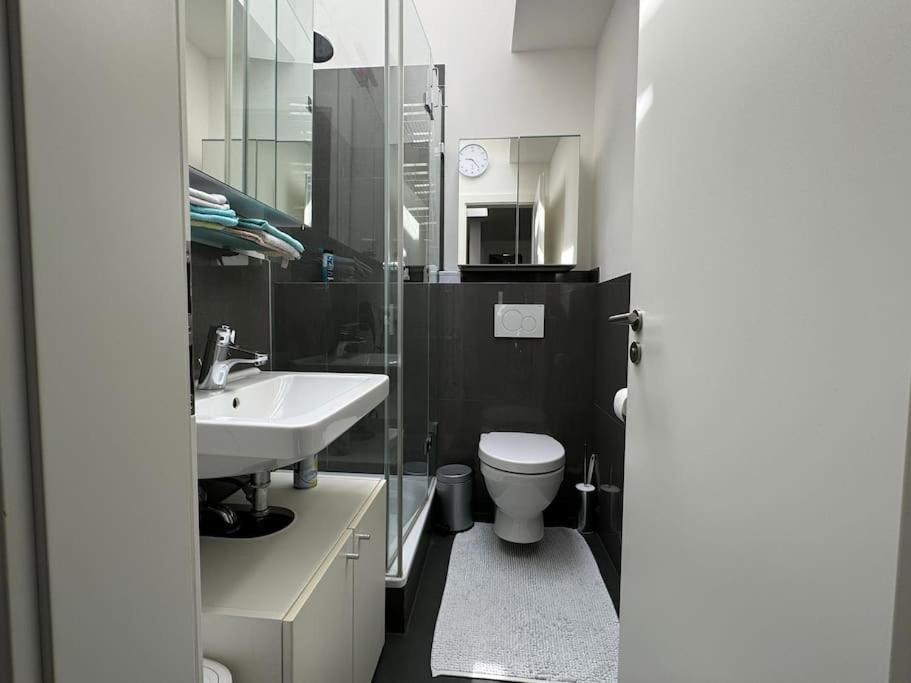 6 Zimmer Maisonette-Penthouse Pool Dachterrasse Luxus München Kültér fotó